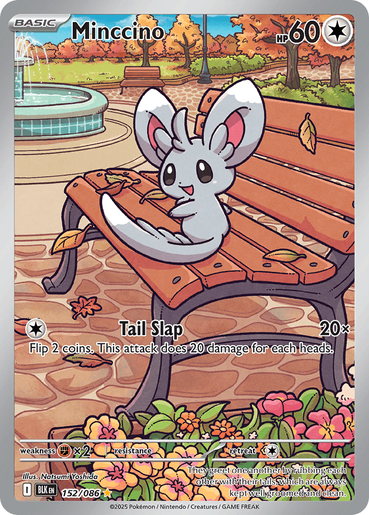 Minccino